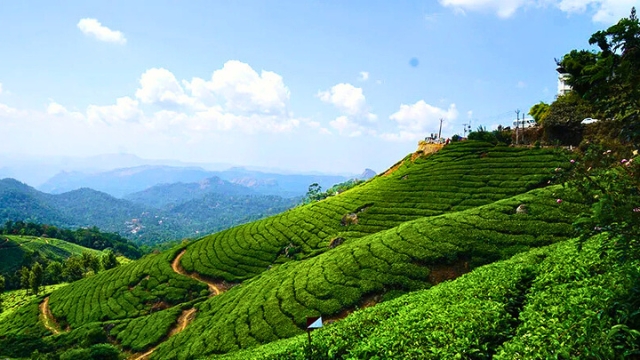 Munnar