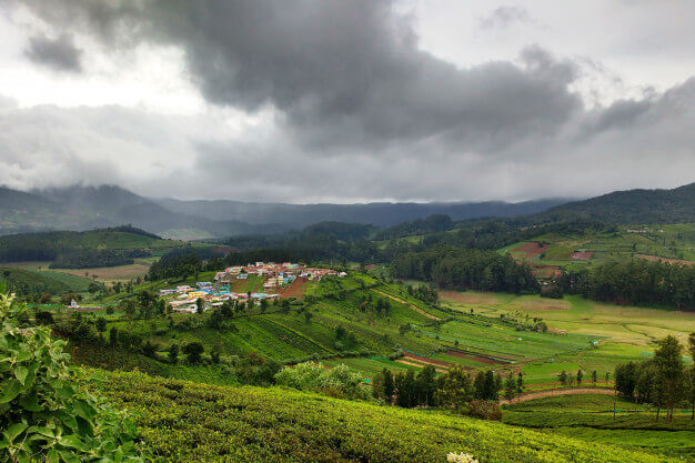 Ooty