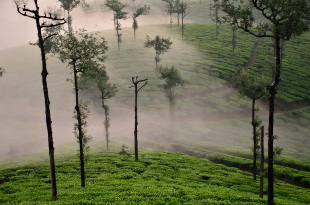 Valparai